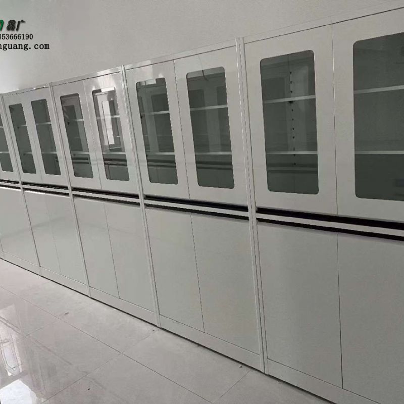 濟(jì)南實驗臺廠家 全鋼器皿柜 實驗室試劑柜可定制